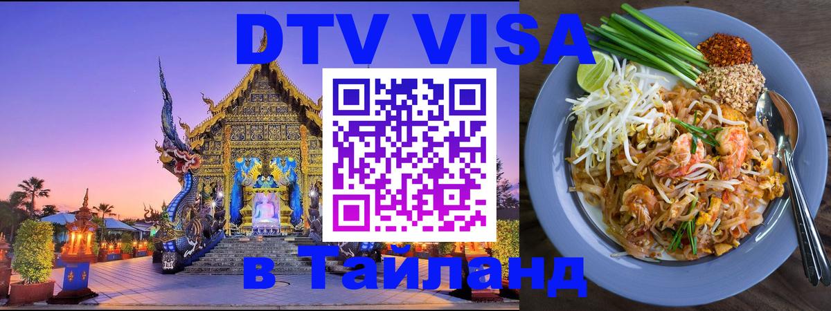 Оформление DTV визы под ключ: стоимость и тарифы, только загранпаспорт - Рубцовск  18.11.2025 